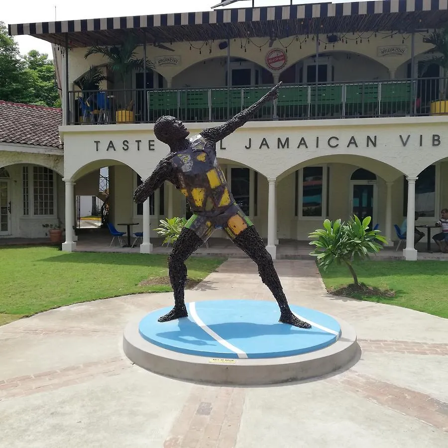 Reggae Hostel Montego Bay 0*,  Jamaika